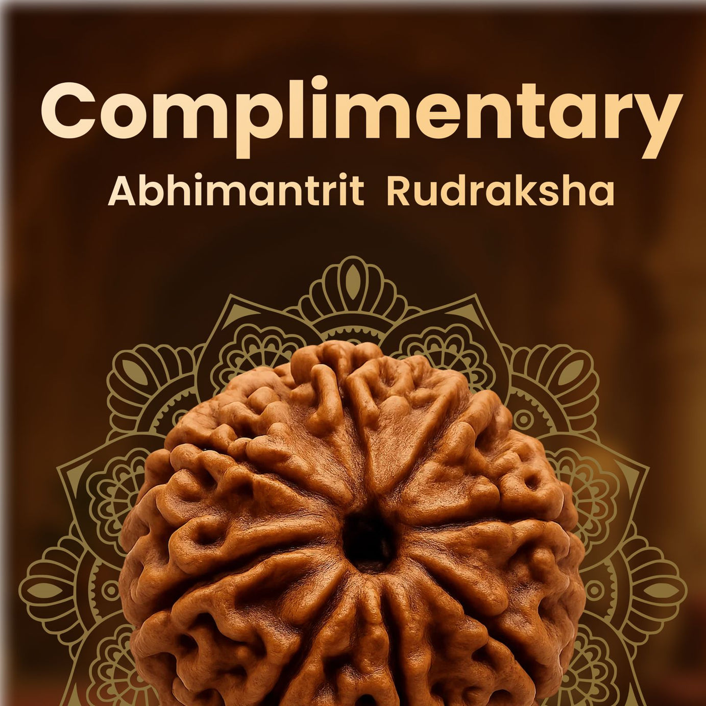 Durlabh Darshan with VR Headset + Complimentary Abhimantrit Rudraksha